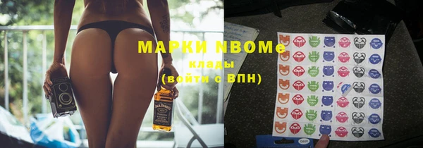 индика Богородск