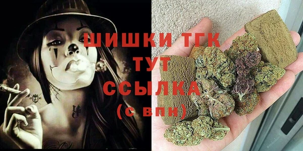 индика Богородск