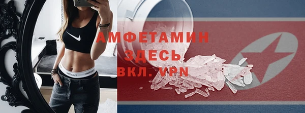 индика Богородск