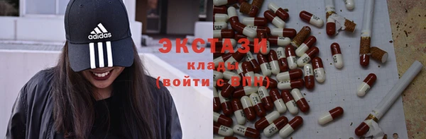 индика Богородск
