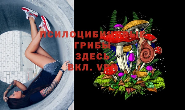 эйфоретик Богородицк