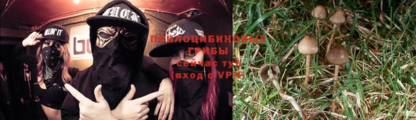 бутират Богданович
