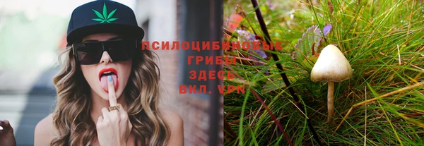 эйфоретик Богородицк