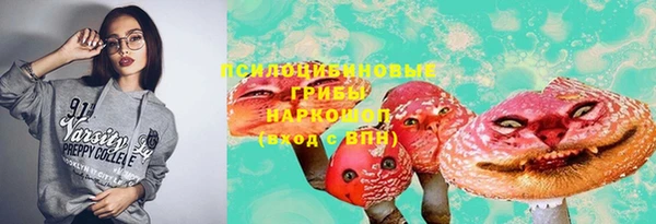 эйфоретик Богородицк