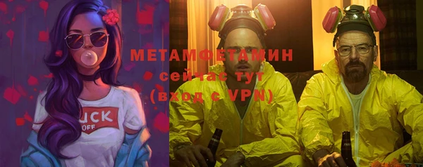 индика Богородск